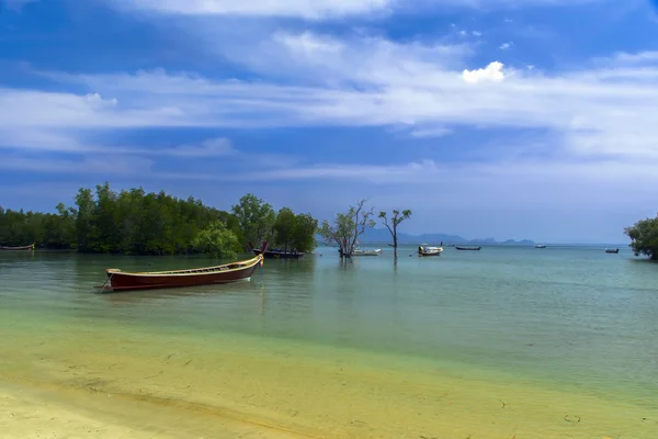 Alberi di mangrovie con barche a coda lunga . — Foto Stock