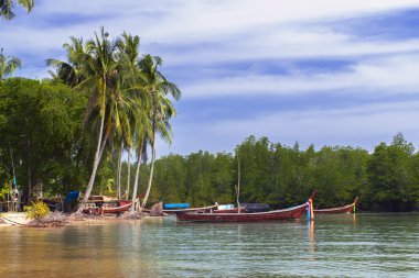 Koh Mook sahil şeridi.