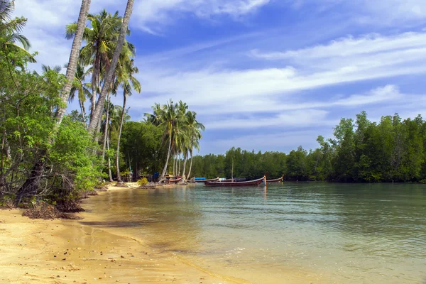 Koh mook linha costeira . Imagem De Stock