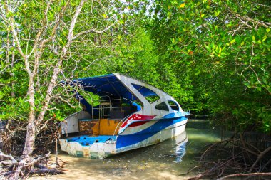 Mangrov ağaçlar kayıp tekne.