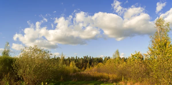 Güneşli bir günde Mamontovka Köyü