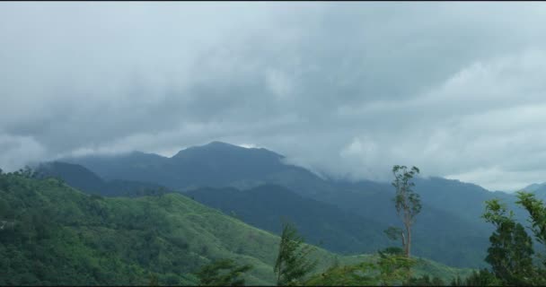 In Chong Yen. Mae Wong National Park — Stock Video