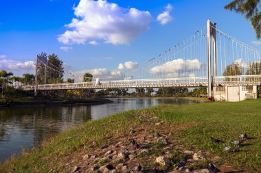 Taşlar, köprü ve güvercinler