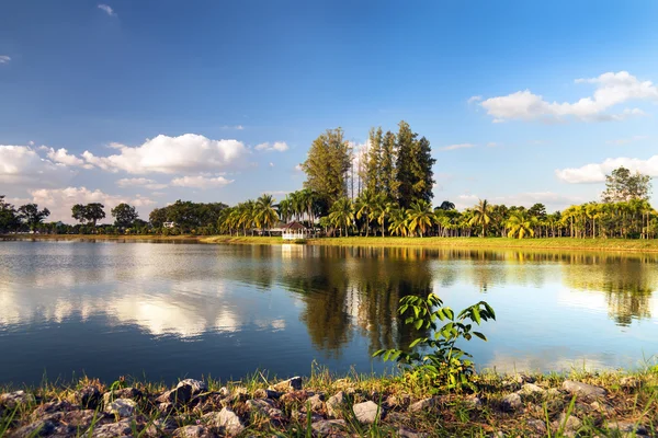 Palma e cielo — Foto Stock