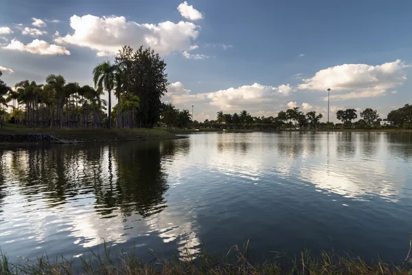 Lagoa no parque . — Fotografia de Stock