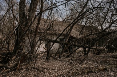 Çernobil 'deki trajediden sonra eski bir kır evine izin veriliyor.