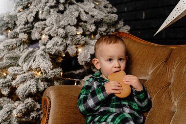 Bir çocuk evde pijamayla oturup zencefilli kurabiye yiyor. Yüksek kalite fotoğraf