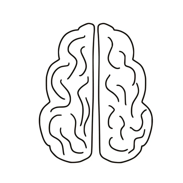 ヒトの脳は白地に隔離されている 精神衛生だ 心理的な問題だ シンボルだ ドアスタイルのベクトルイラスト — ストックベクタ