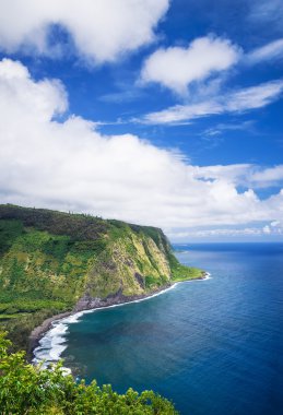 Waipio Vadi Manzaralı büyük Island Hawaii
