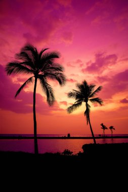 Büyük adada Hawaiian günbatımı