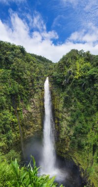 Akaka Falls State Park Big Island Hawaii clipart