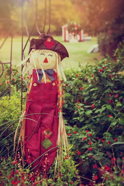 Cute scarecrow in the autumn garden. Halloween October harvest decoration concept. Wooden red shed in the background.