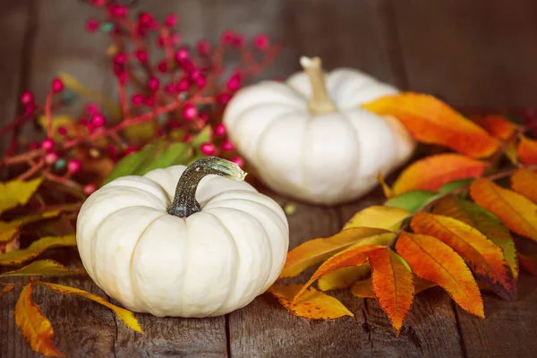 Mini Calabazas Blancas Sobre Mesa Madera Rústica Mostrado Con Hojas —  Fotos de Stock