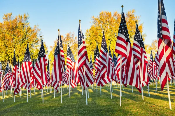 Banderas Americanas Pie Campo Verde Una Hermosa Mañana Otoño Exhibición — Foto de Stock