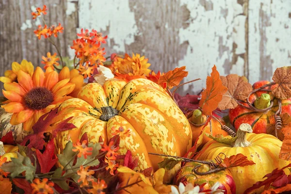 Exhibición de otoño con una calabaza rodeada de calabazas decorativas y —  Fotos de Stock