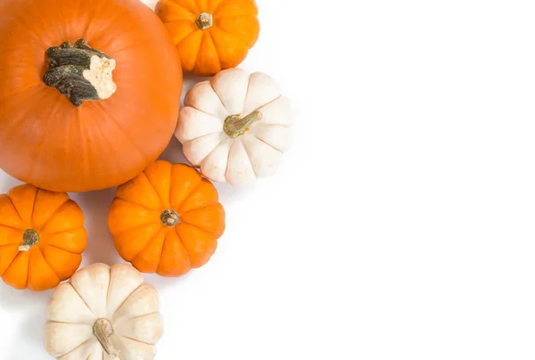 Calabazas sobre fondo blanco —  Fotos de Stock