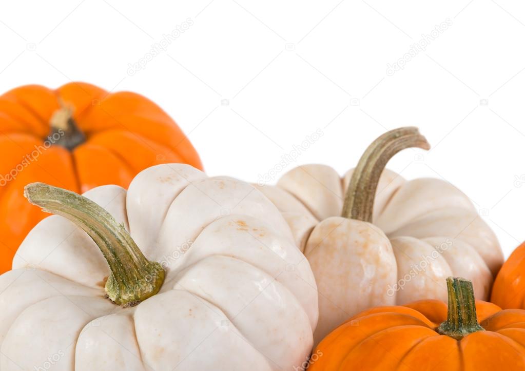 Closeup of mini pumpkins on white