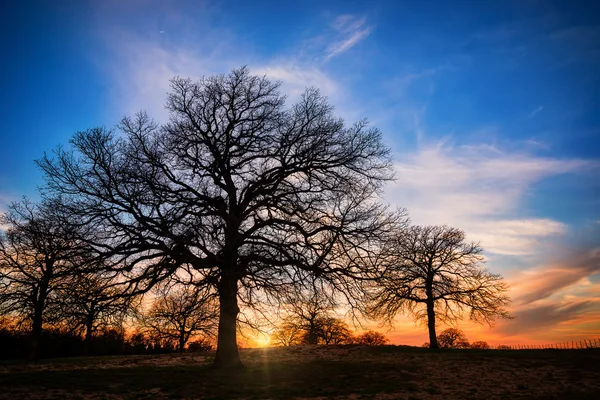 Texas zonsondergang in de winter over grasland — Stockfoto