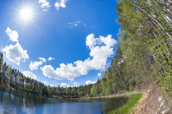 Lago nella foresta con cielo azzurro e soleggiato — Foto Stock