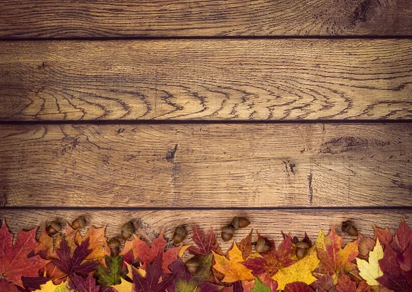 Hojas de otoño y bellotas sobre fondo rústico de madera — Foto de Stock