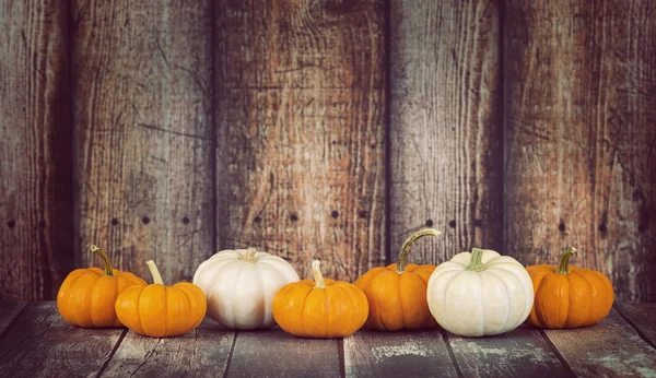 Mini citrouilles dans une rangée sur fond rustique — Photo