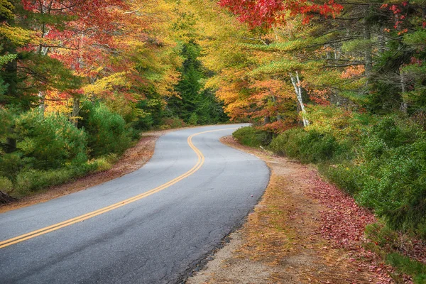 Bochtige weg door herfst bomen — Stockfoto