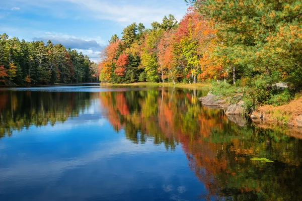 Reflections in pond  on sunny autumn day — Stock Photo, Image
