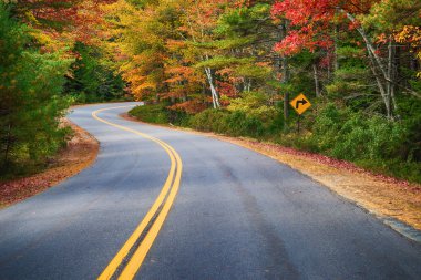 New England sonbaharda ağaçların üzerinden dolambaçlı yol