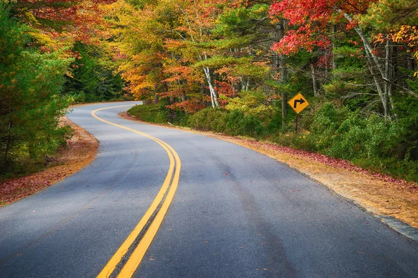 Estrada sinuosa através de árvores de outono na Nova Inglaterra — Fotografia de Stock