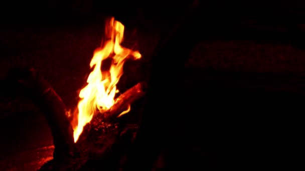 Arderea Focului Fundal Negru — Videoclip de stoc
