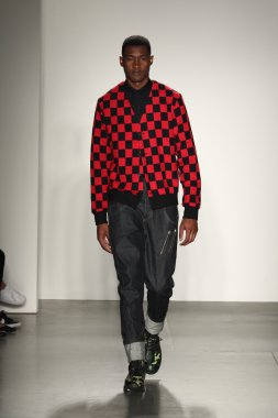 iijin sonbahar 2016 New York Moda Haftası sırasında