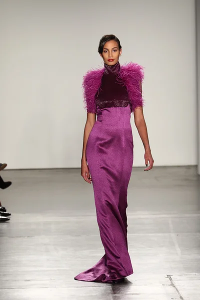 Zang Toi autunno 2016 Sfilata di moda — Foto Stock