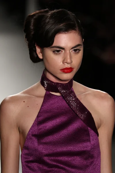 Zang Toi sonbahar 2016 defile — Stok fotoğraf