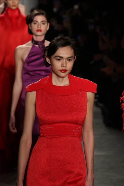 Zang Toi sonbahar 2016 defile — Stok fotoğraf