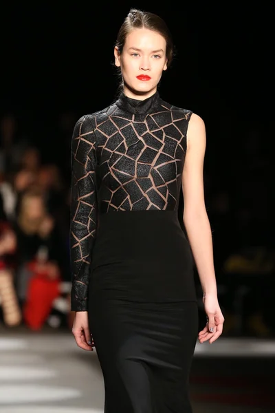 Christian Siriano Fall 2016 — Zdjęcie stockowe