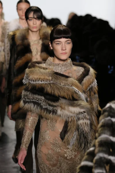 Dennis Basso sonbahar 2016 giyen modelleri