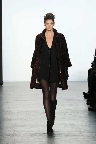 Carmen Marc Valvo Runway show — ストック写真