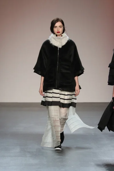 Model wearing Salinas Fall 2016 — Stok fotoğraf