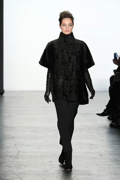 Carmen Marc Valvo Runway show Stock Image