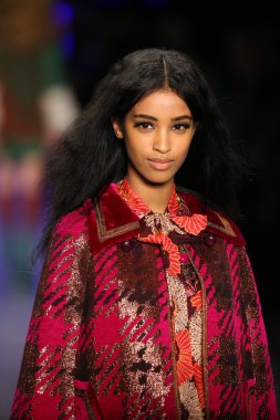 Anna Sui sonbahar 2016 gösteri
