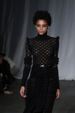 Jill Stuart sonbahar kış 2016 koleksiyonu göster