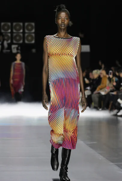 Issey Miyake show as part of the Paris Fashion Week — Stock Photo, Image