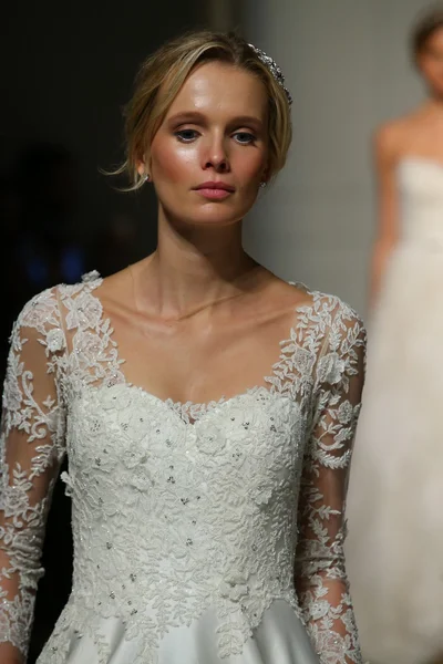 Pronovias Couture Bridal Collection — Stock Photo, Image