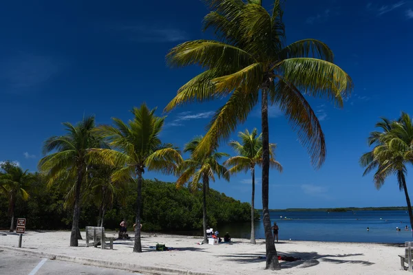 Località tropicale dell'isola — Foto Stock