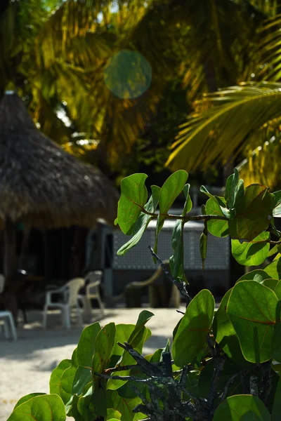 Resort isla tropical —  Fotos de Stock