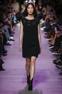 Paul ve Joe gösterisi 