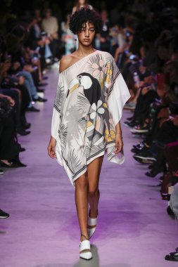 Paul ve Joe gösterisi 