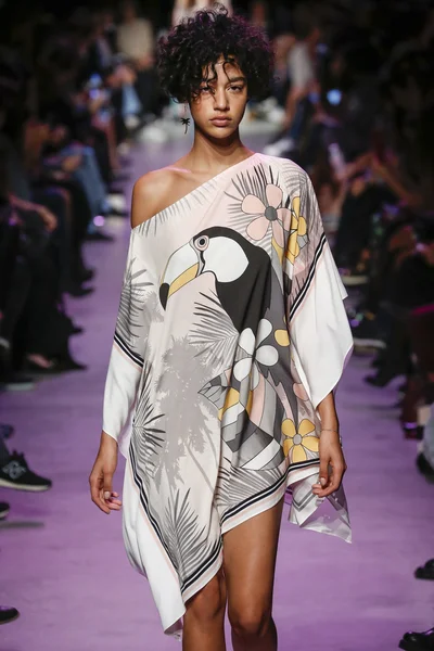 Paul ve Joe gösterisi 