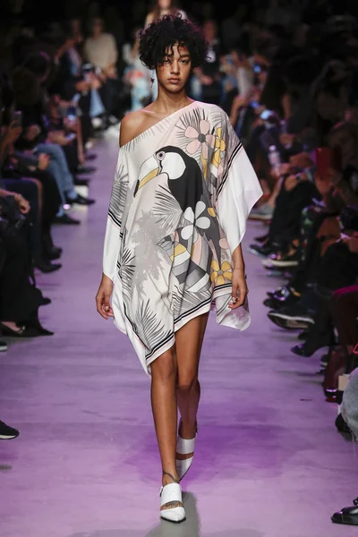 Paul ve Joe gösterisi 