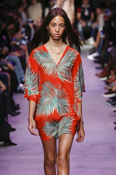 Paul ve Joe gösterisi 